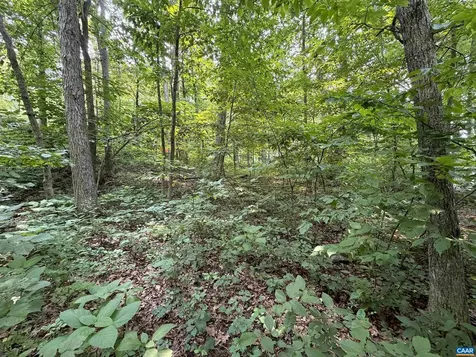 383 Timber Camp Drive Wintergreen Resort VA 22967