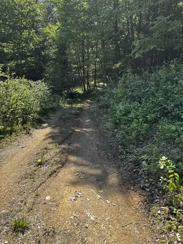 Tbd Crabtree Falls Highway Vesuvius VA 24483
