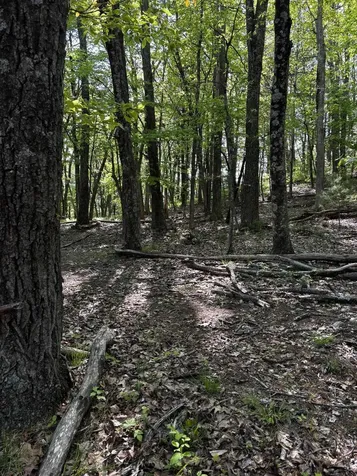 Tbd Crabtree Falls Highway Vesuvius VA 24483