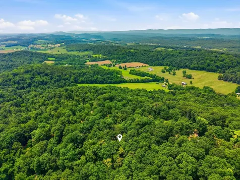 460 Hilltop Lane Mt Jackson VA 22842