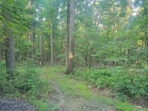 0 Sundance Mountain Road New Market VA 22844
