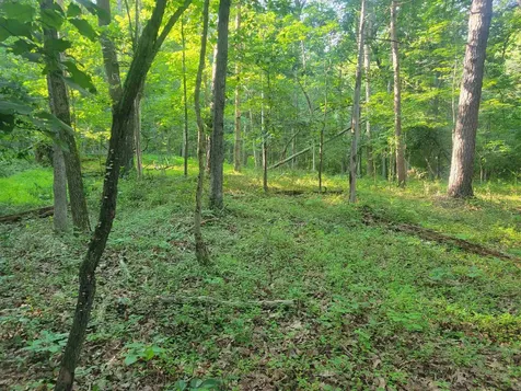 0 Sundance Mountain Road New Market VA 22844
