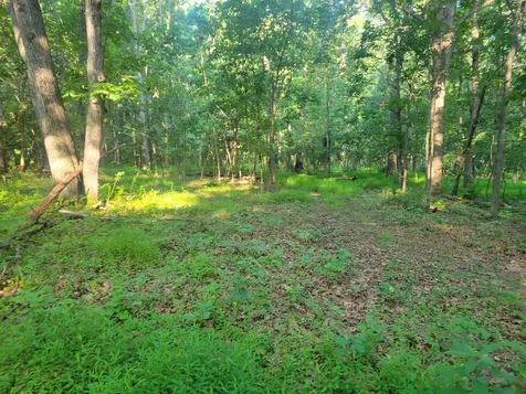 0 Sundance Mountain Road New Market VA 22844