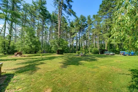 58 Bear Wallow Flat Lane West Augusta VA 24485