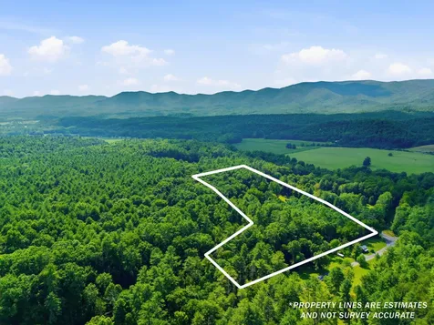 58 Bear Wallow Flat Lane West Augusta VA 24485