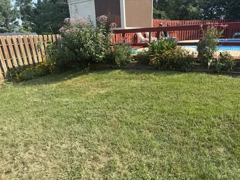 2412 Mt Vernon Street Waynesboro VA 22980