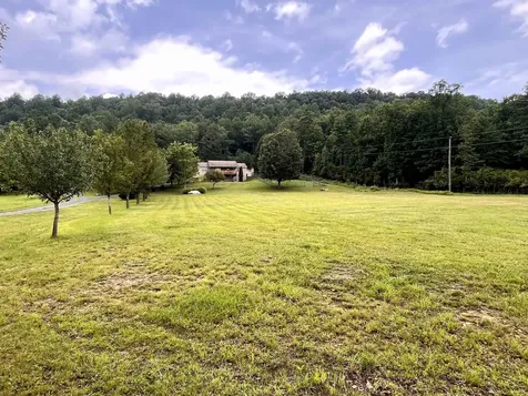 93 Poplar Ridge Lane Craigsville VA 24430