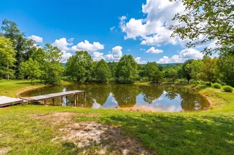 93 Poplar Ridge Lane Craigsville VA 24430