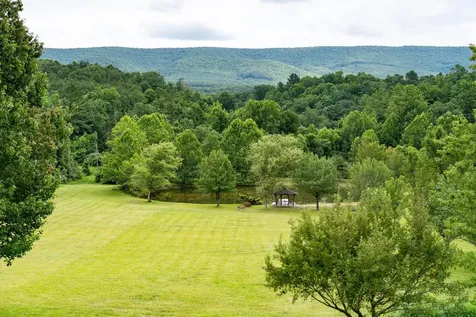 93 Poplar Ridge Lane Craigsville VA 24430