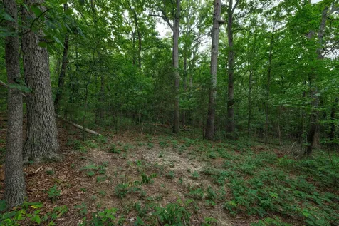 0 Pine Bluff Road Waynesboro VA 22980