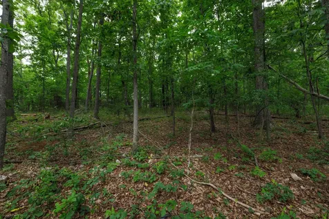 0 Pine Bluff Road Waynesboro VA 22980
