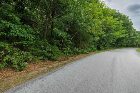 0 Pine Bluff Road Waynesboro VA 22980