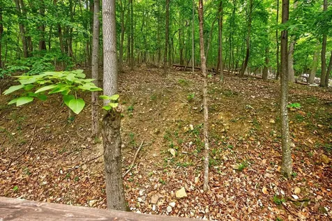 299 Turkey Drive Mcgaheysville VA 22840