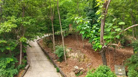 299 Turkey Drive Mcgaheysville VA 22840