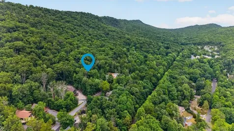 299 Turkey Drive Mcgaheysville VA 22840