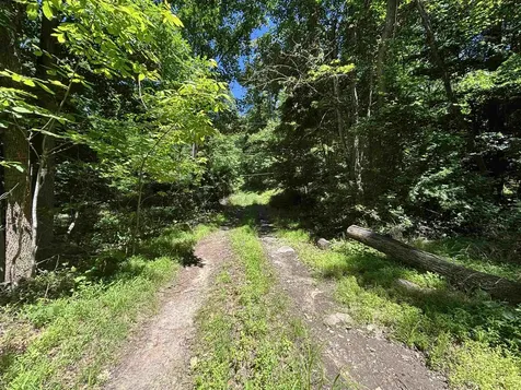 Jordan Hollow Road Stanley VA 22851