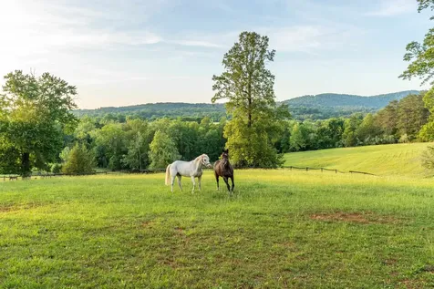1636 Milton Road Charlottesville VA 22902