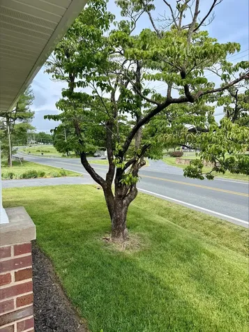 635 Mason Street Dayton VA 22821