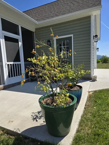 209 Stone Drive Stuarts Draft VA 24477