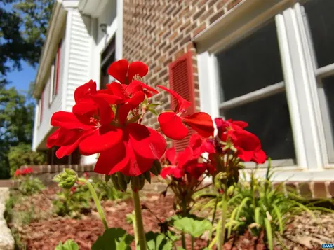 2140 Viburnum Court Charlottesville VA 22911