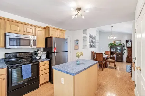 601 Flower Drive Mcgaheysville VA 22840