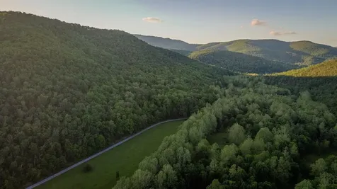 22606 German River Road Criders VA 22820
