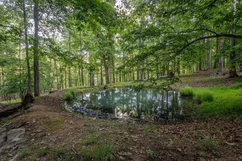 22606 German River Road Criders VA 22820