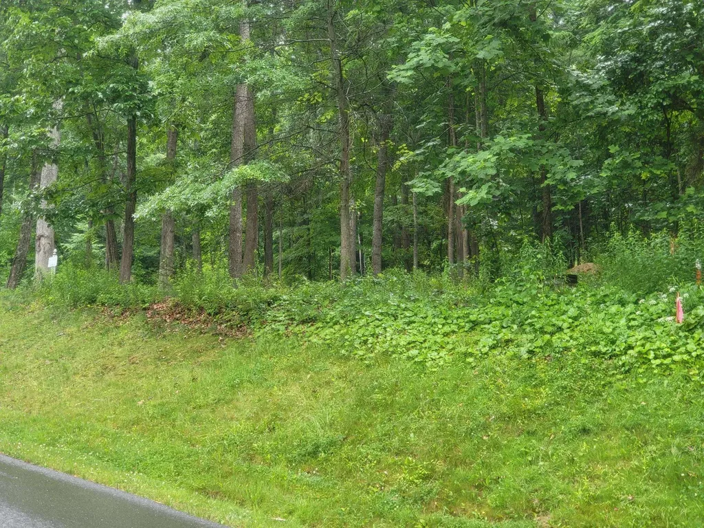 Lot 50 Donald Ross Trail Hot Springs VA 24445