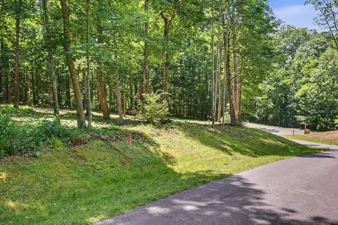 Lot 50 Donald Ross Trail Hot Springs VA 24445