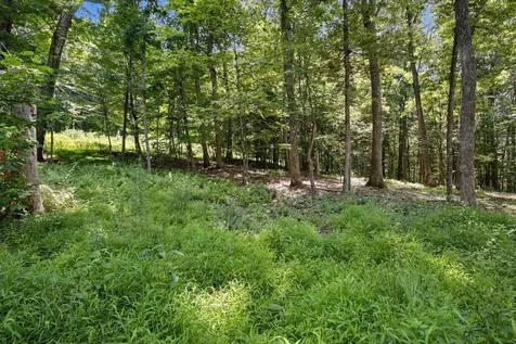 Lot 50 Donald Ross Trail Hot Springs VA 24445