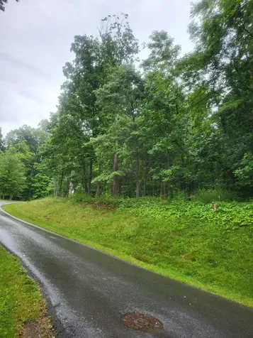Lot 50 Donald Ross Trail Hot Springs VA 24445