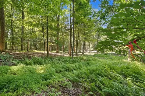 Lot 50 Donald Ross Trail Hot Springs VA 24445