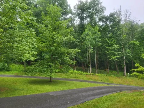 Lot 50 Donald Ross Trail Hot Springs VA 24445