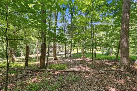 Lot 50 Donald Ross Trail Hot Springs VA 24445