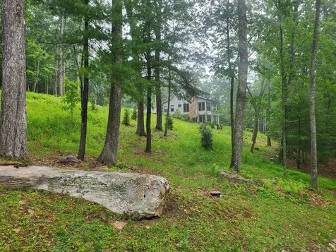 113 Shepherds Trail Hot Springs VA 24445