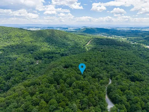 5 Rabbits Foot Road Hinton VA 22831