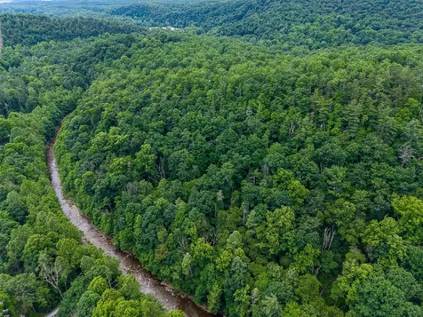 5 Rabbits Foot Road Hinton VA 22831