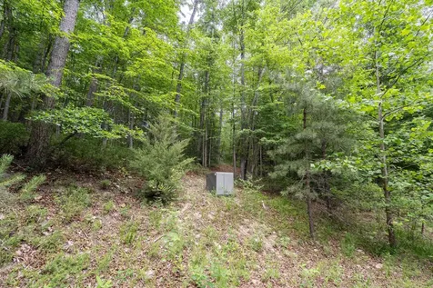 5 Rabbits Foot Road Hinton VA 22831