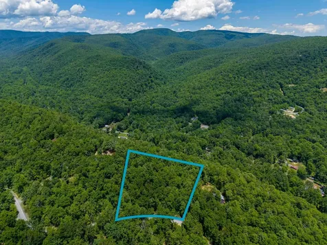 5 Rabbits Foot Road Hinton VA 22831