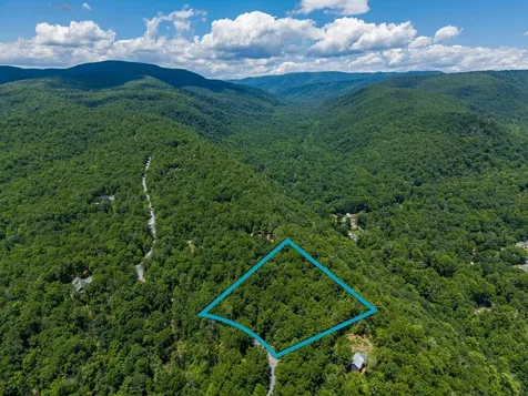 5 Rabbits Foot Road Hinton VA 22831