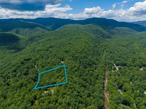 5 Rabbits Foot Road Hinton VA 22831
