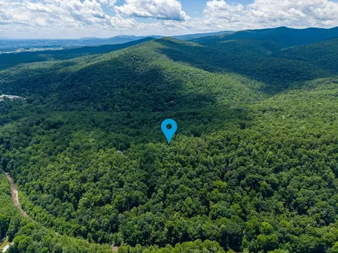 5 Rabbits Foot Road Hinton VA 22831
