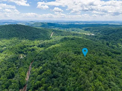5 Rabbits Foot Road Hinton VA 22831