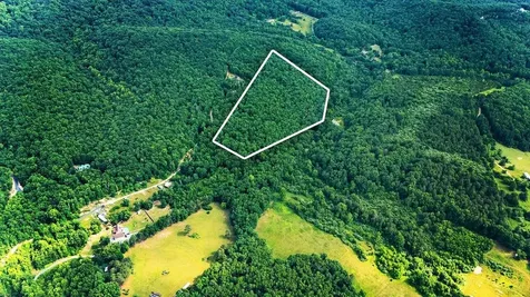 Tbd Calf Mountain Road Waynesboro VA 22980
