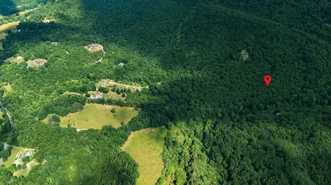 Tbd Calf Mountain Road Waynesboro VA 22980