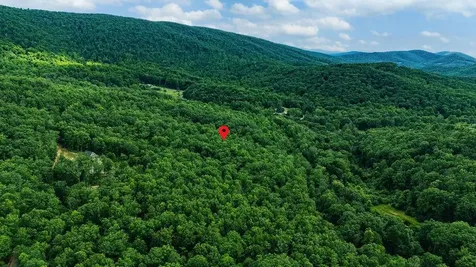 Tbd Calf Mountain Road Waynesboro VA 22980