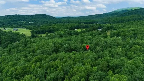 Tbd Calf Mountain Road Waynesboro VA 22980