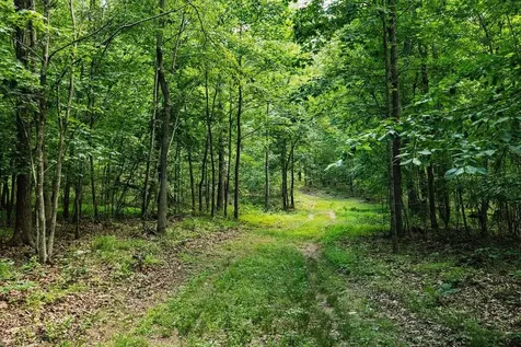 Tbd Calf Mountain Road Waynesboro VA 22980