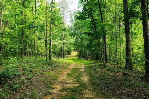 Tbd Calf Mountain Road Waynesboro VA 22980