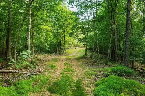 Tbd Calf Mountain Road Waynesboro VA 22980